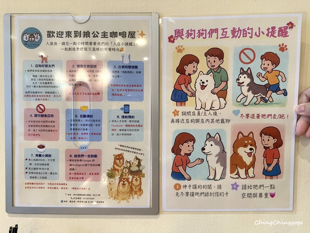 【狼公主咖啡屋】巨型毛孩店長超吸睛!寵物友善/療癒系打卡點 - 第17張圖 【狼公主咖啡屋】巨型毛孩店長超吸睛!寵物友善/療癒系打卡點