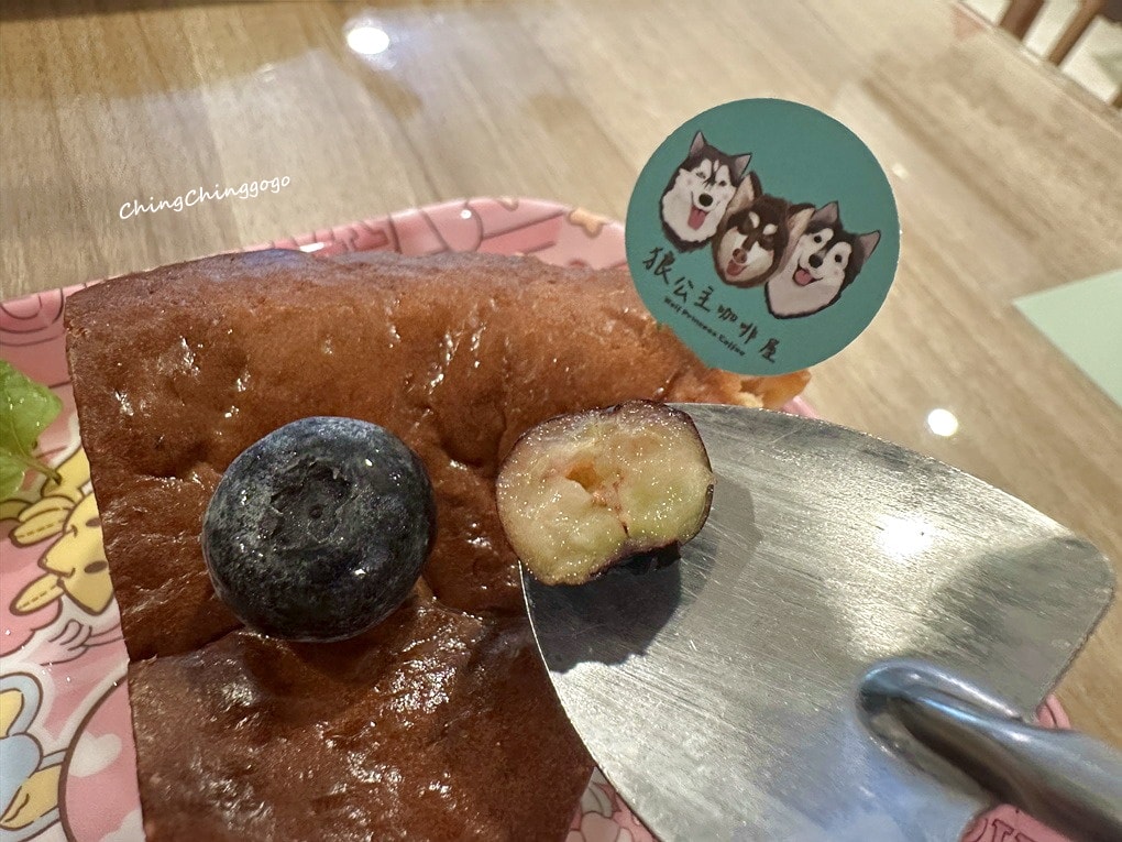 【狼公主咖啡屋】巨型毛孩店長超吸睛!寵物友善/療癒系打卡點 - 第30張圖 【狼公主咖啡屋】巨型毛孩店長超吸睛!寵物友善/療癒系打卡點